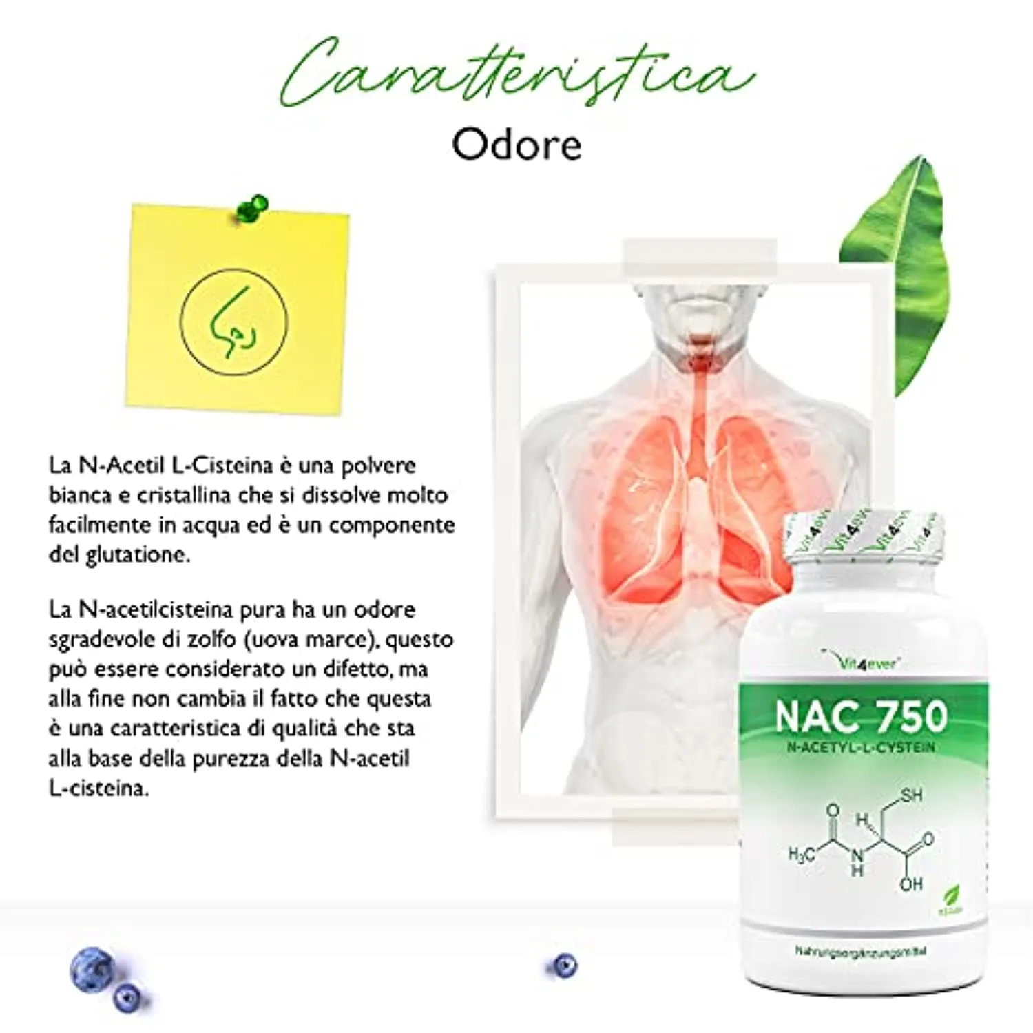 NAC - N-Acetyl L-Cysteine 180 capsule da 750 mg ciascuna - Fornitura per 6 mesi - Vegan - Altamente dosato - Qualità premium