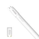 Noxion Avant LED Tubo T8 Standard (EM Mains) Standard Output 9W 900lm - 840 Bianco Freddo | 60cm - Sostitutiva 18W