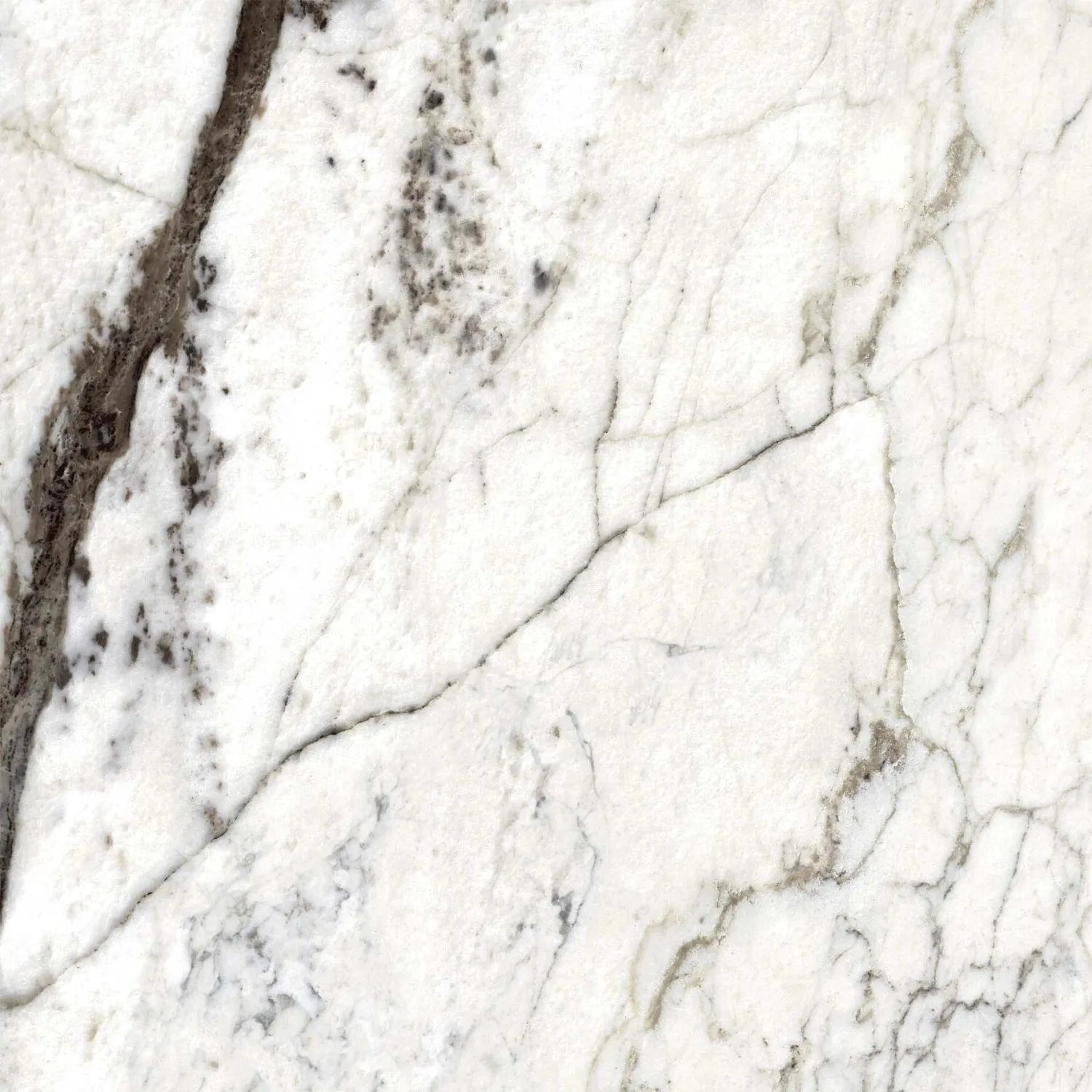 Piastrella in gres porcellanato Dream Marble Breccia bianco 59,6x59,6 cm
