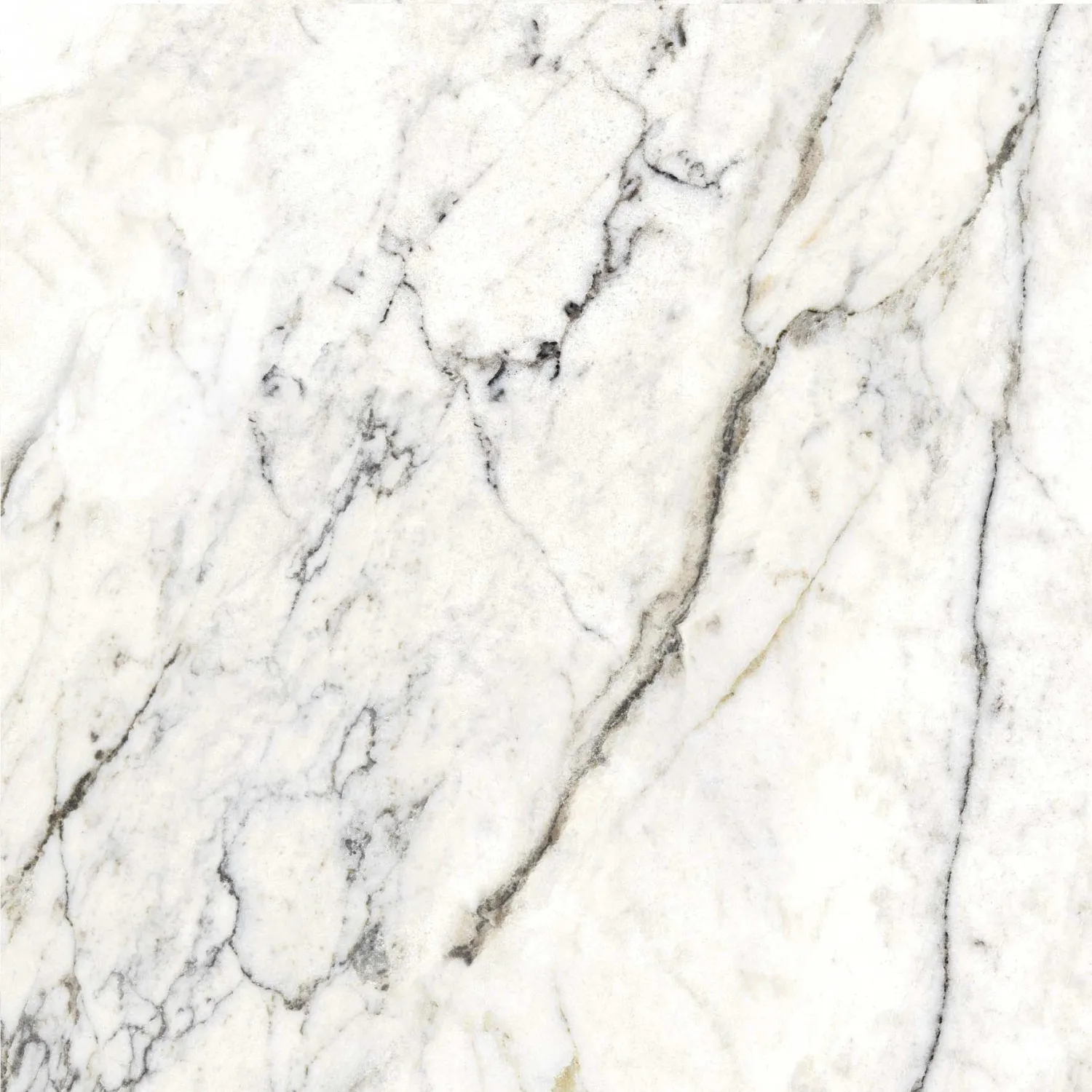 Piastrella in gres porcellanato Dream Marble Breccia bianco 59,6x59,6 cm
