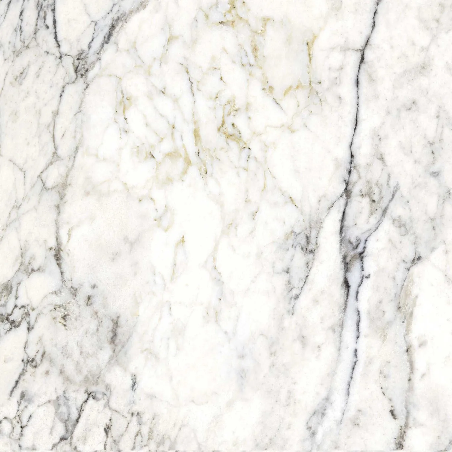 Piastrella in gres porcellanato Dream Marble Breccia bianco 59,6x59,6 cm