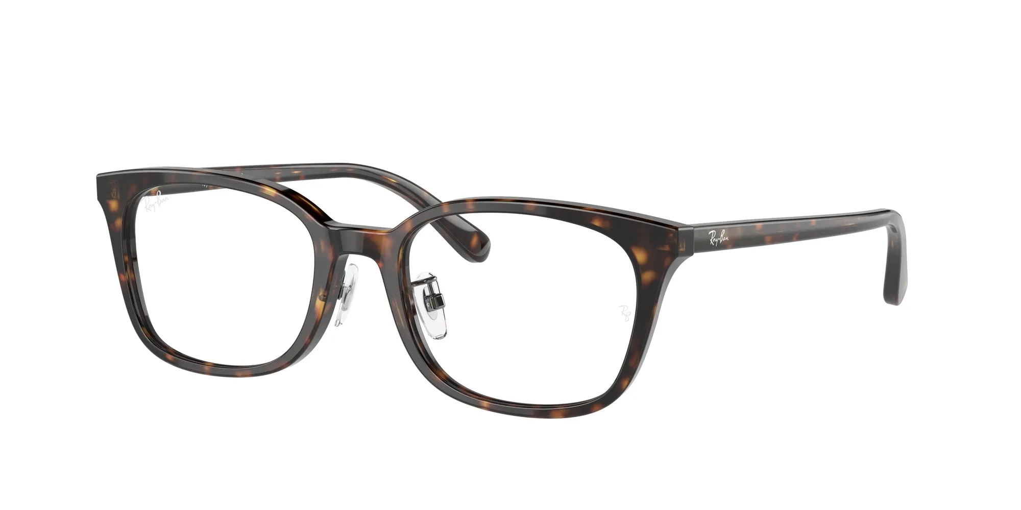   Ray - Ban RX5407D  2012