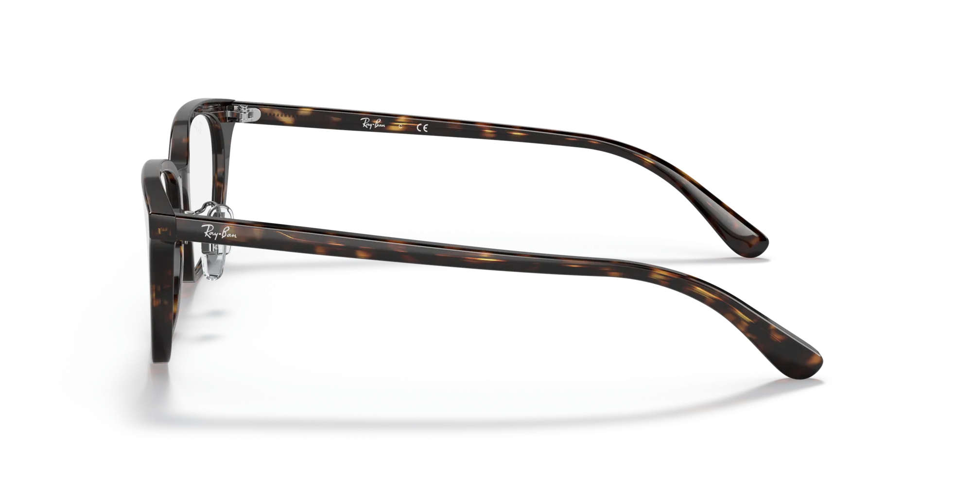   Ray - Ban RX5407D  2012