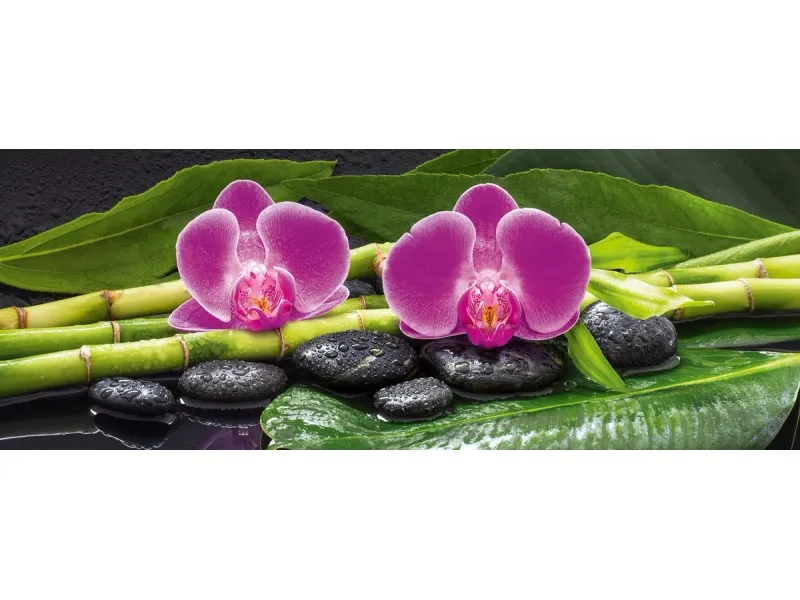 Stampa decorativa Deco Vetro Bamboo Purple 80 cm x 30 cm