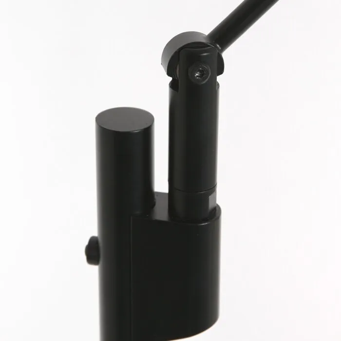 Steinhauer Daphne Lampada da terra LED Nero, 1-Luce